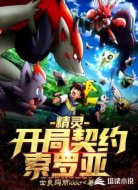 精灵:开局契约索罗亚