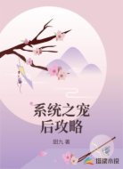 系统之宠后攻略