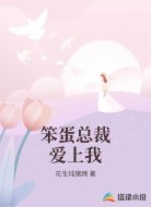 笨蛋总裁爱上我