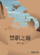 禁职之巅