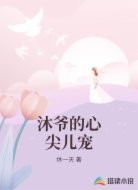 沐爷的心尖儿宠