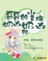 书名