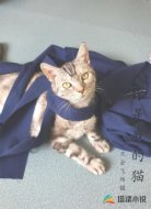 你是我的猫