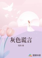 灰色谎言