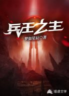 兵王之主
