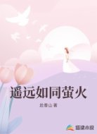 遥远如同萤火