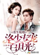 重生暖婚:洛少专宠白月光