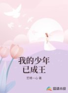 我的少年已成王