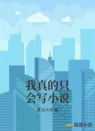 我真的只会写小说