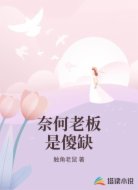 奈何老板是傻缺