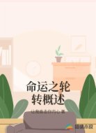 命运之轮转概述