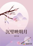沉璧映明月