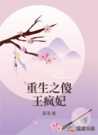 重生之傻王疯妃