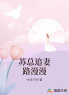 苏总追妻路漫漫