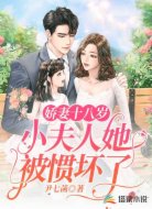 娇妻十八岁:小夫人她被惯坏了