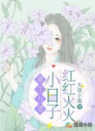 重生九零:小日子红红火火