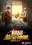 極品鑒寶神眼