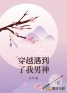 穿越遇到了我男神