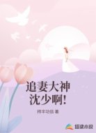 追妻大神沈少啊!