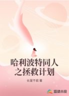 哈利波特同人之拯救計(jì)劃