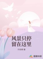 风景只停留在这里