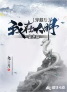 穿越后我在大明集龙珠