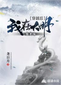 穿越后我在大明集龙珠