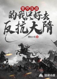 受尽压迫的我只好去推翻大隋