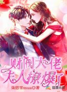 财阀大佬,夫人撩爆了