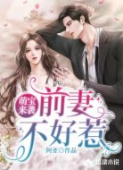 萌宝来袭：前妻不好惹