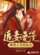 追妻漫漫：腹黑王爷求复合