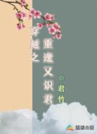 穿越之重逢又识君