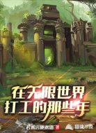 在无限世界打工的那些年