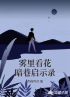 雾里看花暗巷启示录