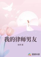 我的律师男友