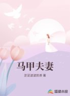 马甲夫妻