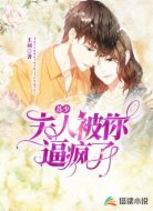 苏少,夫人被你逼疯了