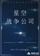 星空战争公司