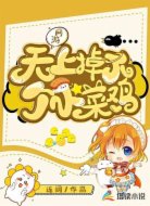网游:天上掉下个小菜鸡