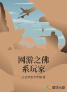 网游之佛系玩家
