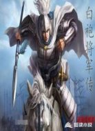 白袍将军传