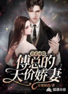 虐爱成瘾:傅总的天价娇妻