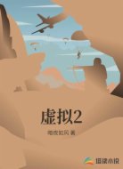 虚拟2