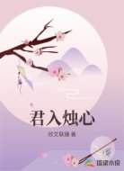 君入烛心