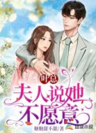 叶总,夫人说她不愿意
