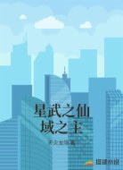 星武之仙域之主