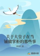 关于大皇子在当铺做掌柜的那些事