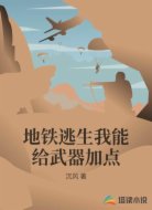 地铁逃生我能给武器加点