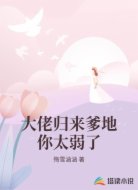 大佬归来爹地你太弱了
