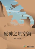 原神之星空海